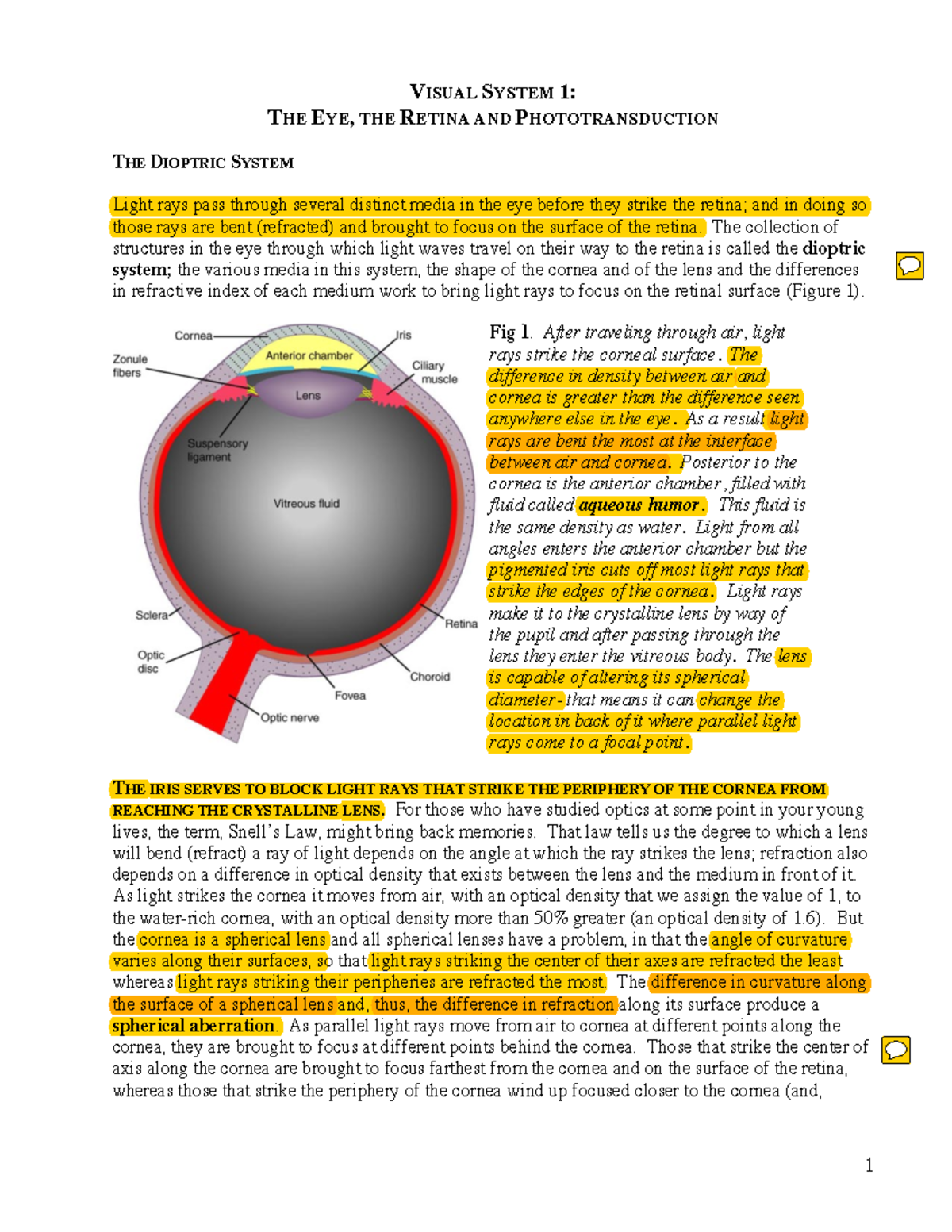 Lecture 18 on Visual System: Key Concepts and Annotations - Studocu