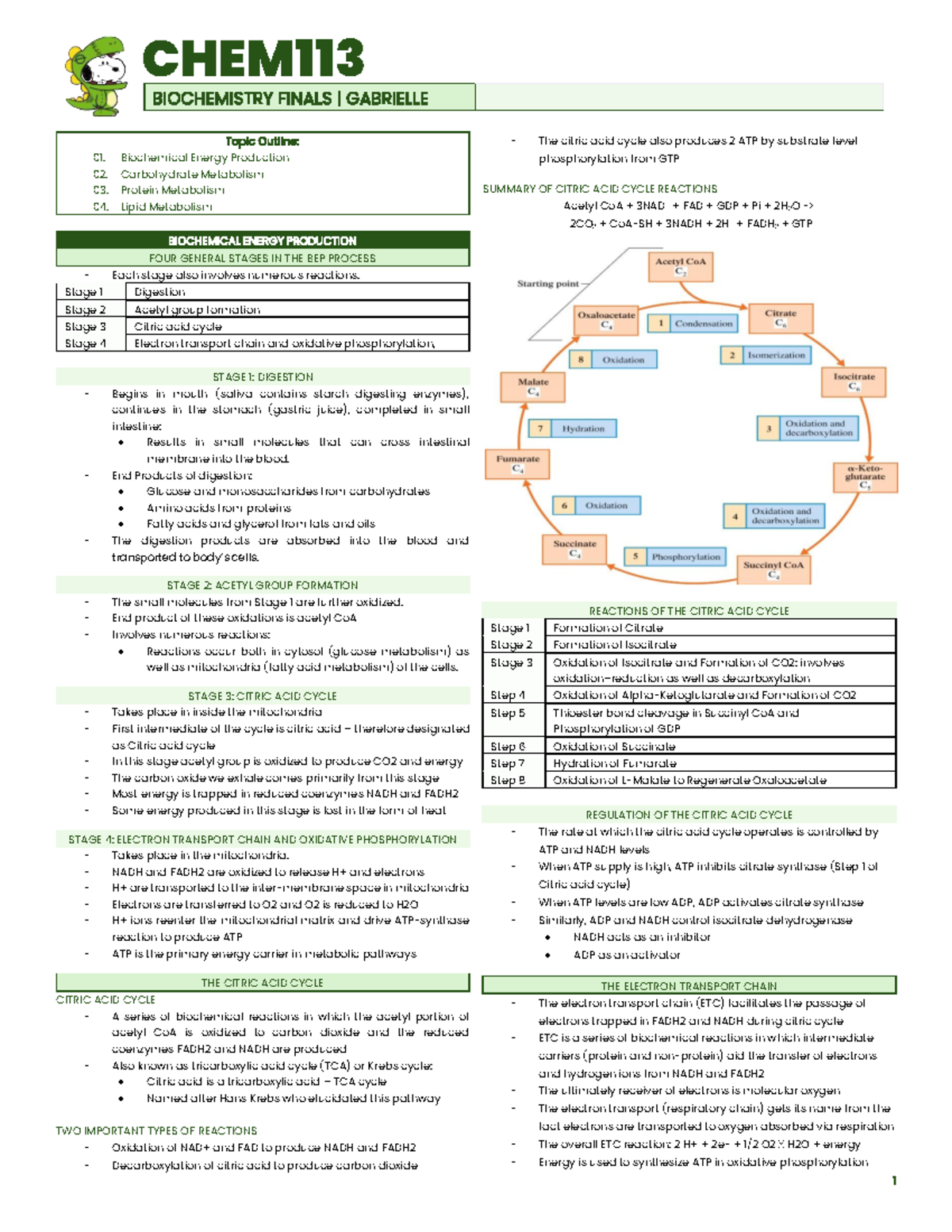 CHEM113 BIOCHEMISTRY FINAL EXAM NOTES: ENERGY METABOLISM OUTLINE - Studocu