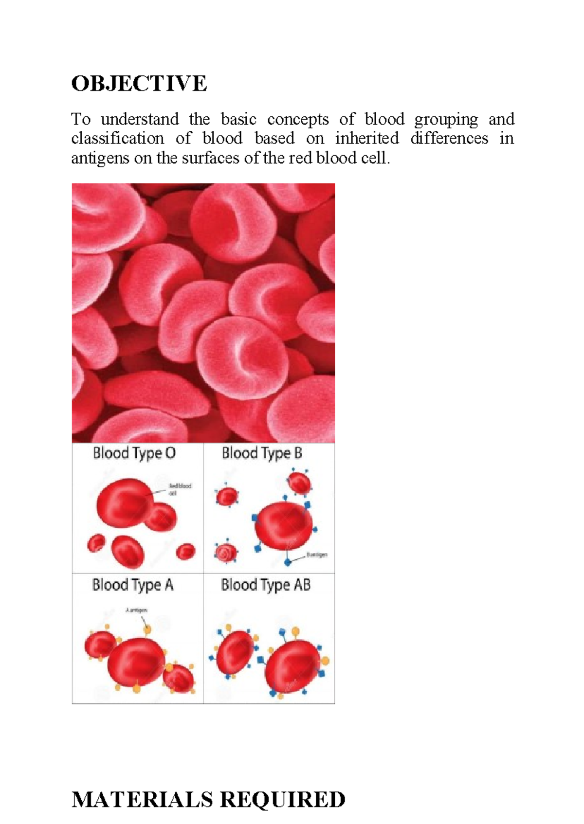 ABO Blood Grouping - OBJECTIVE To understand the basic concepts of ...