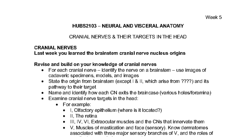 2020 HUBS2103 Week 5 Lecture Notes on Cranial Nerves and Targets - Studocu