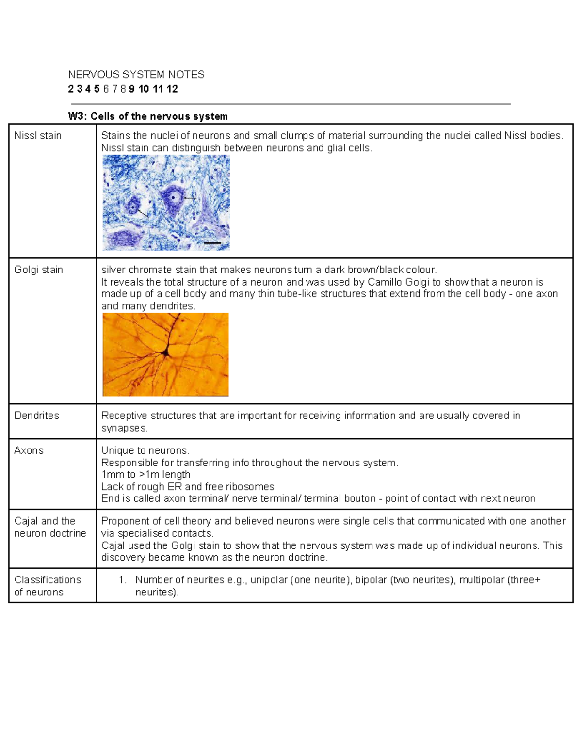 MEDI2300 Lecture Notes: Nervous System Overview and Functions - Studocu