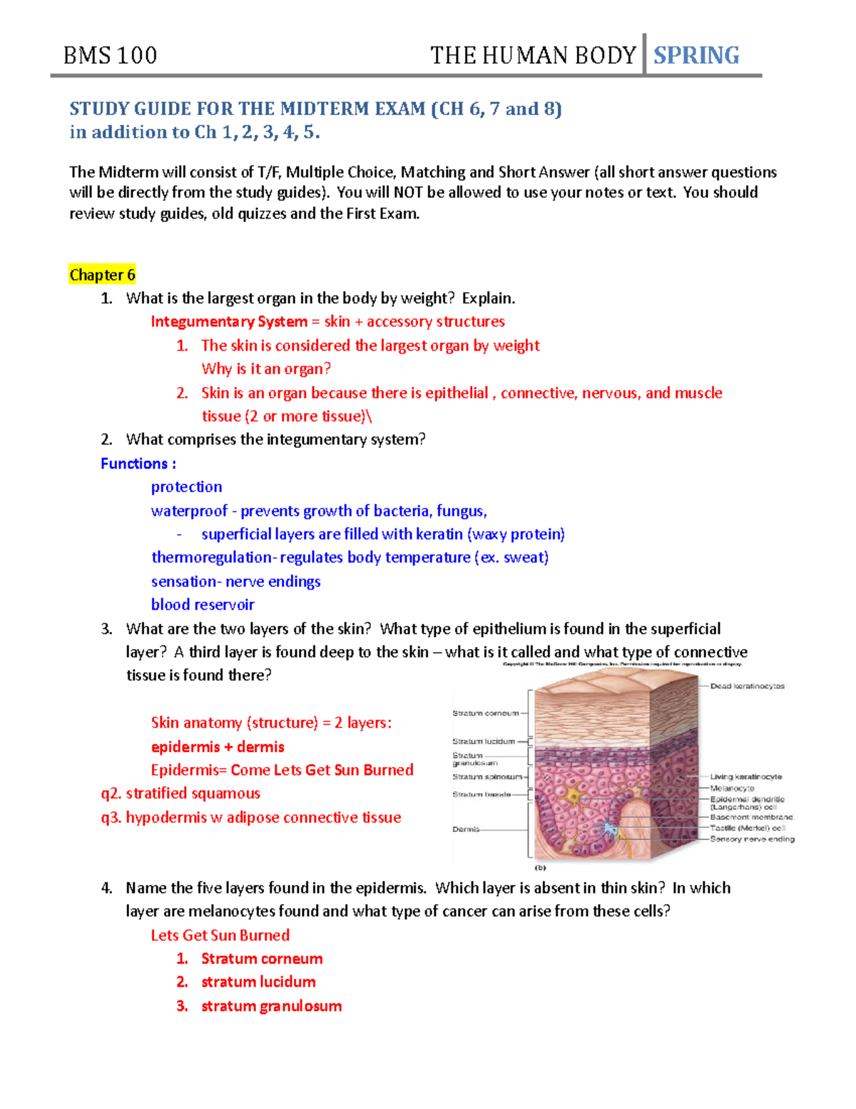 BMS 100 Study Guide for Midterm Exam (Ch 1-8) on The Human Body - Studocu