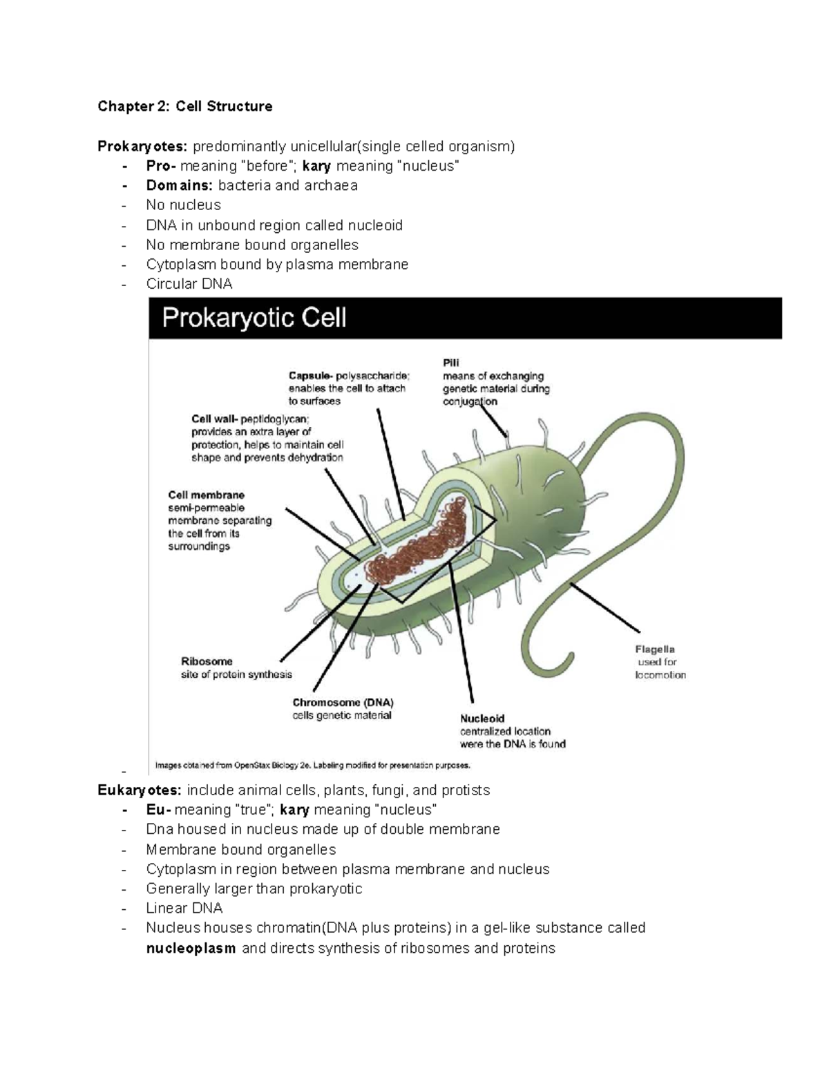 Cell Structure and Function: Key Concepts in Biology (BIO 101) - Studocu