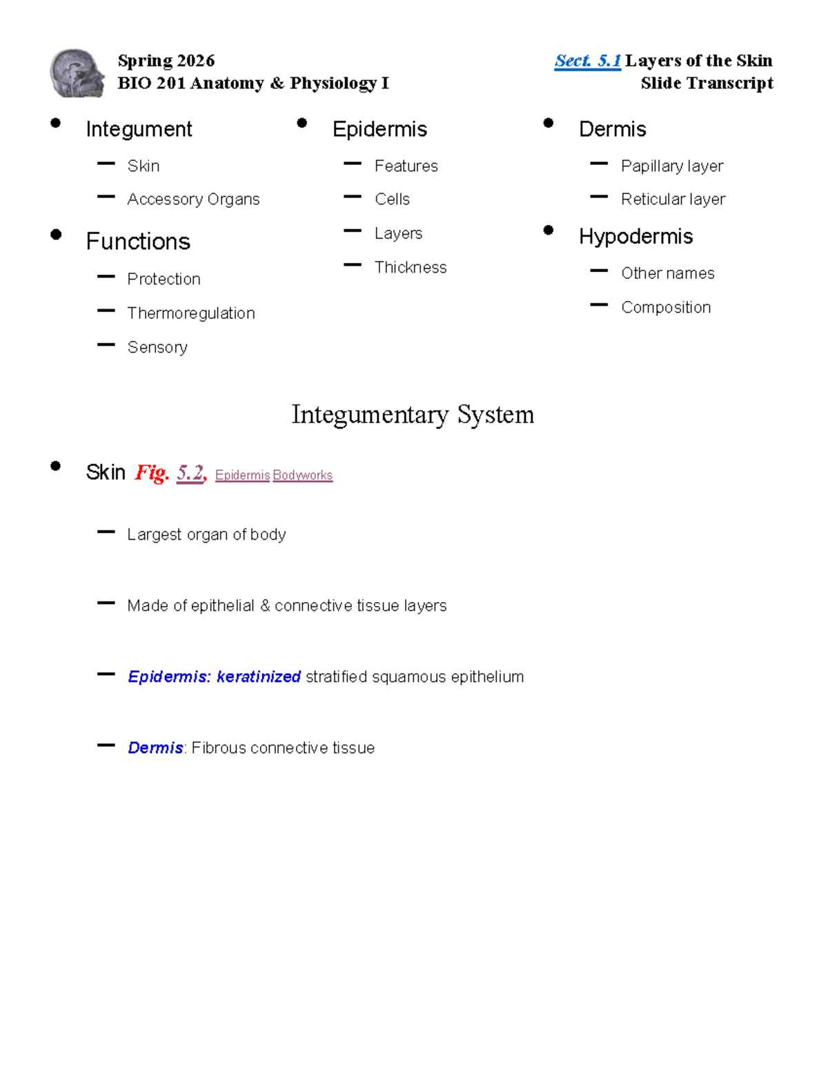 BIO 201 Lecture: Layers of the Skin - Studocu