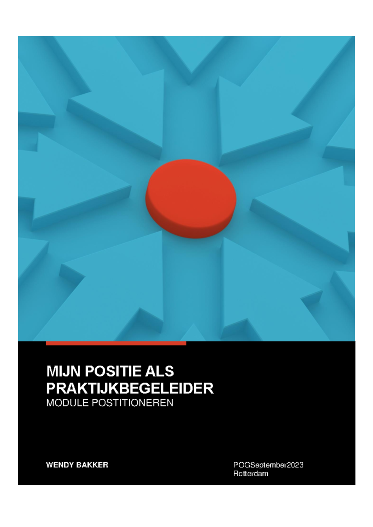 Toetsopdracht Positioneren als Praktijkbegeleider - Wendy Bakker POG ...