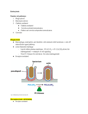 Biochemistry 101: Post-translational modification and protein sorting ...