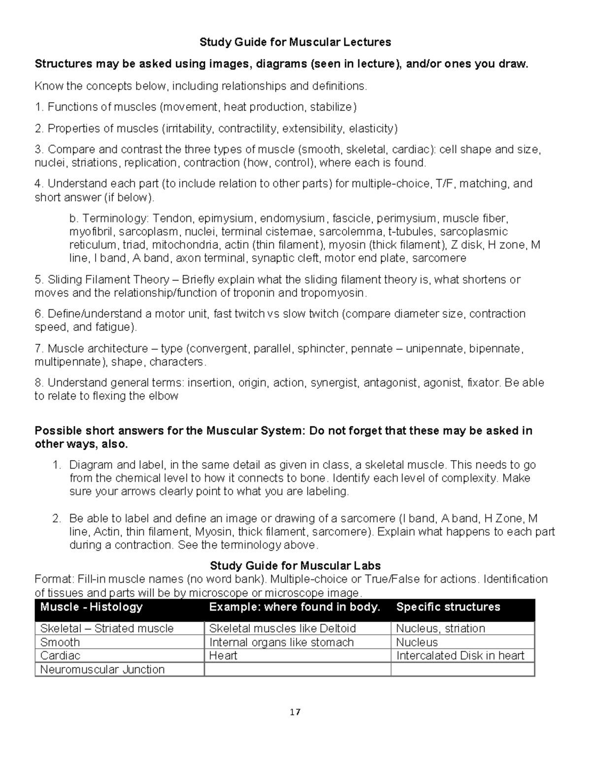 Study Guide for Muscular System Lectures and Labs - Studocu