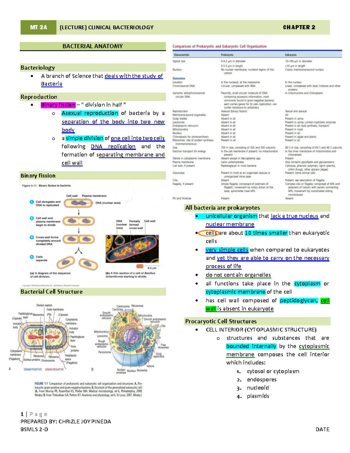 MT 3A (Lecture) Clinical bacteriology chapter 2 bacterial anatomy notes ...
