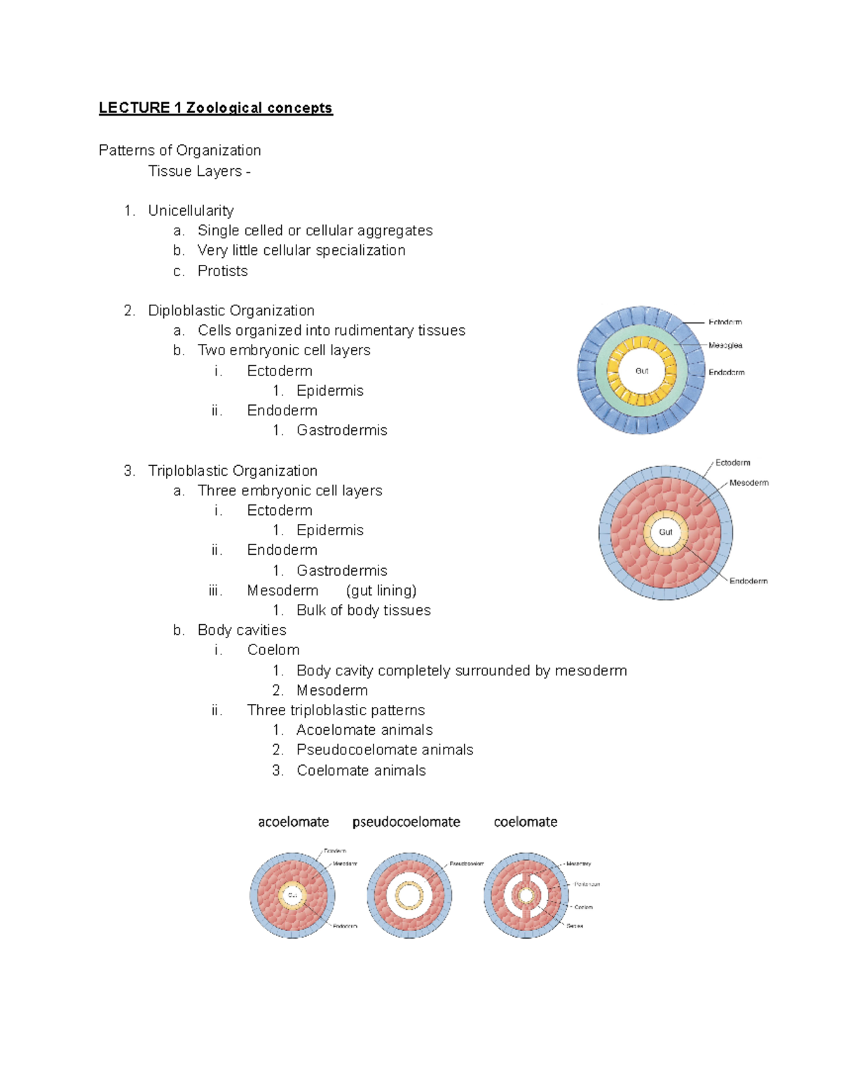 Zoological Concepts: Lecture 9 on Organizational Patterns and ...