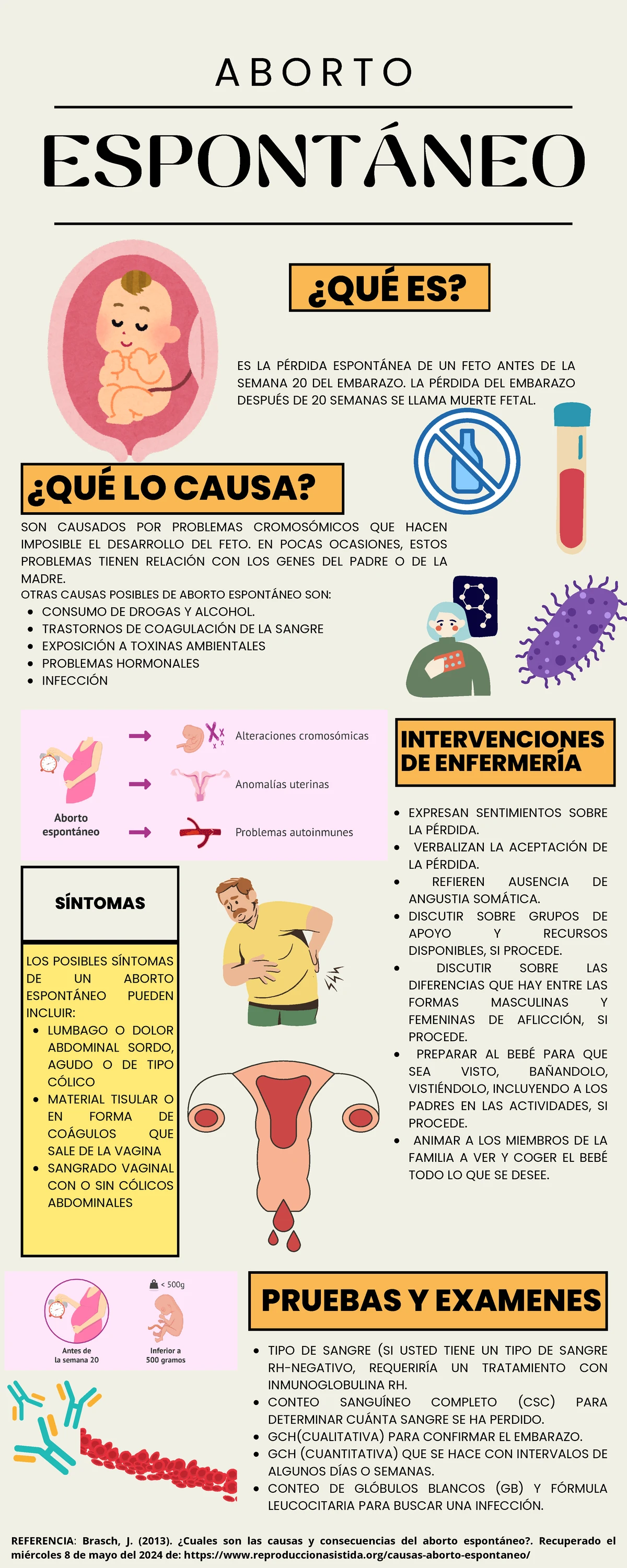 Mecanismos del Síndrome de Reperfusión: Análisis y Consecuencias - Studocu