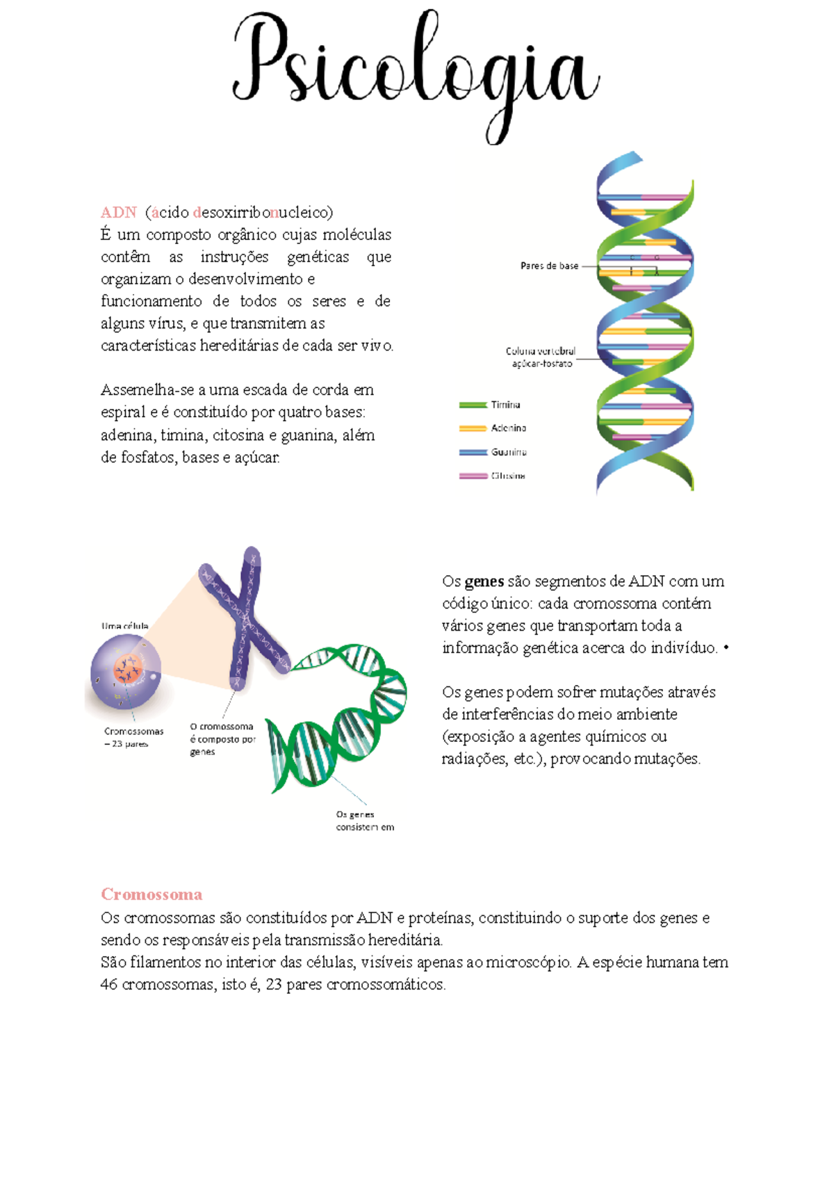 Psicologia B genética TEMA 1 - Document Preview