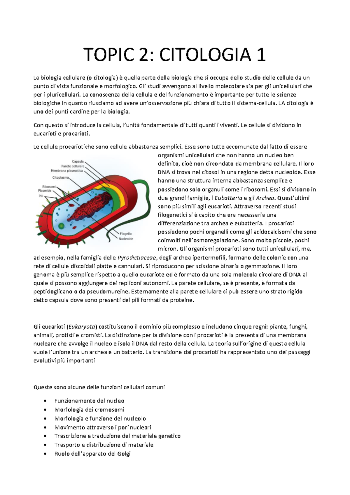 Differenze tra cellule eucariote e procariote: organelli e funzioni ...