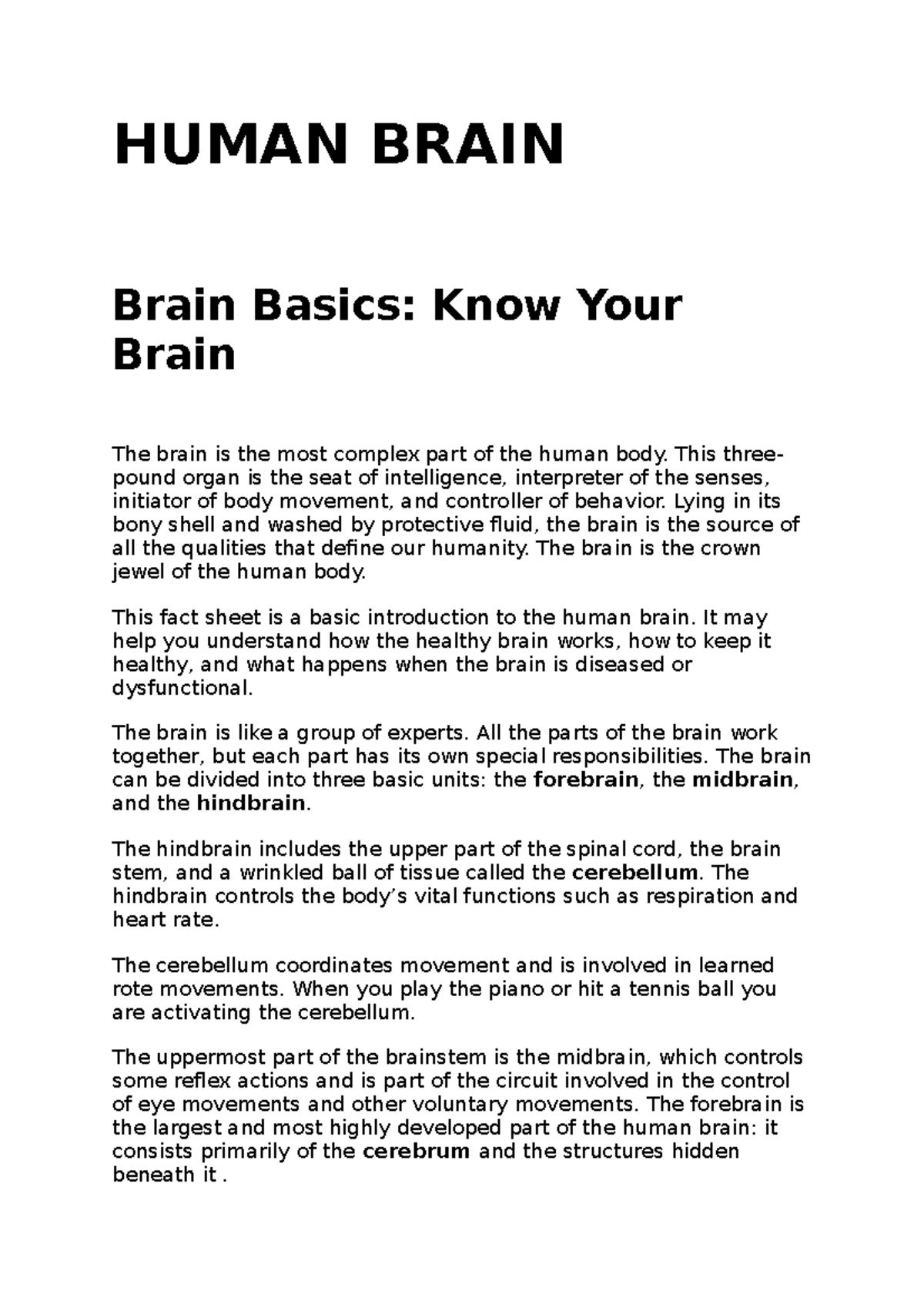 Introduction to the Human Brain: Structure and Function - Studocu
