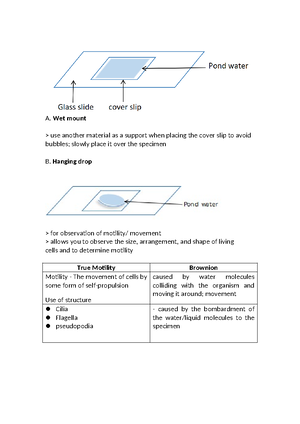 Sports Injuries (Handouts) - Sports Injuries Physical Education ...