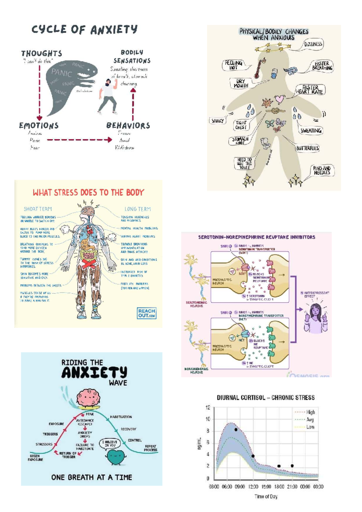 Psych 101: Understanding the Cycle of Anxiety and Stress Responses ...
