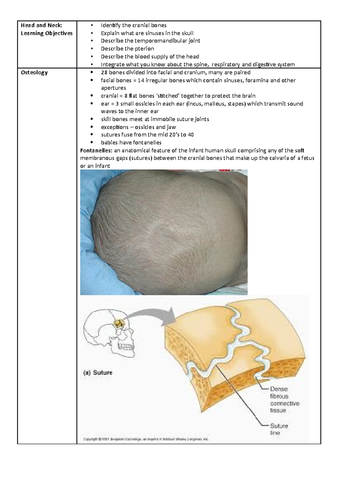 Head and Neck Human Anatomy 100 Lecture Notes - Head and Neck: Learning ...