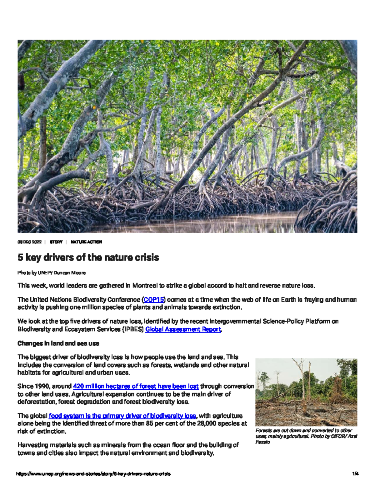 Study Material Overview for Course 719: Key Concepts and Notes - Studocu