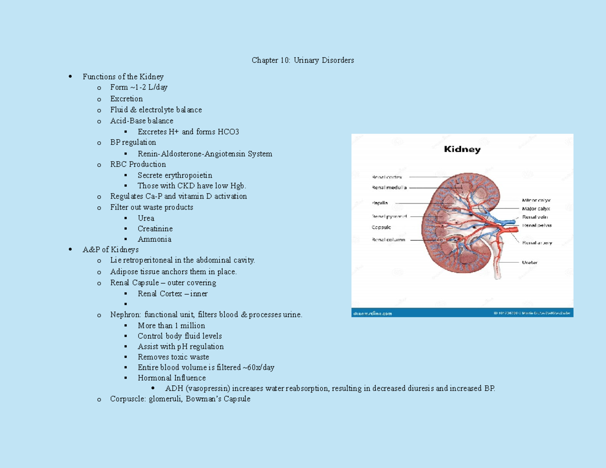Urinary Disorders: Chapter 10 Notes for Nursing (NRS 202) - Studocu