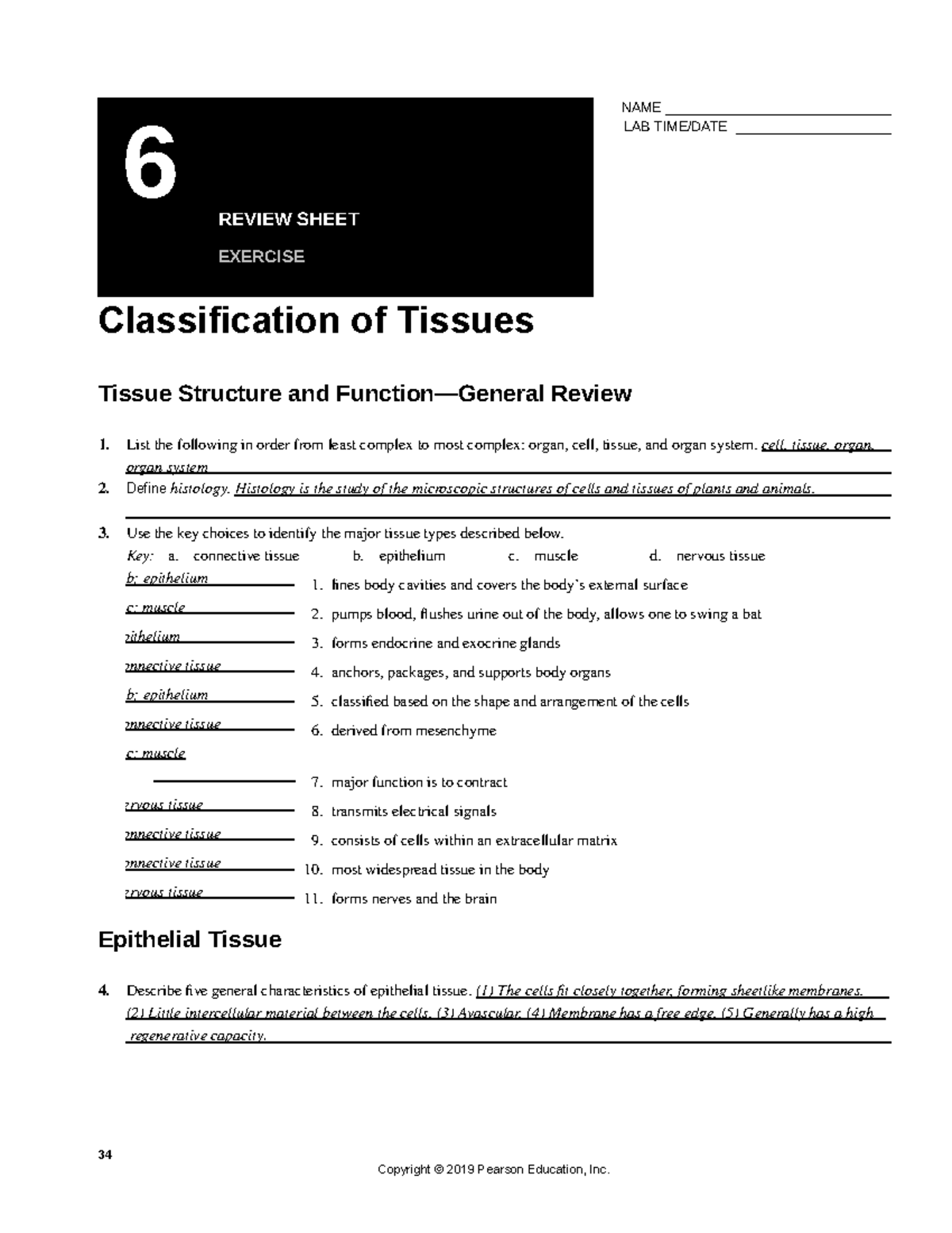 Ex 06 Classification of Tissues Review Sheet Answers - Studocu