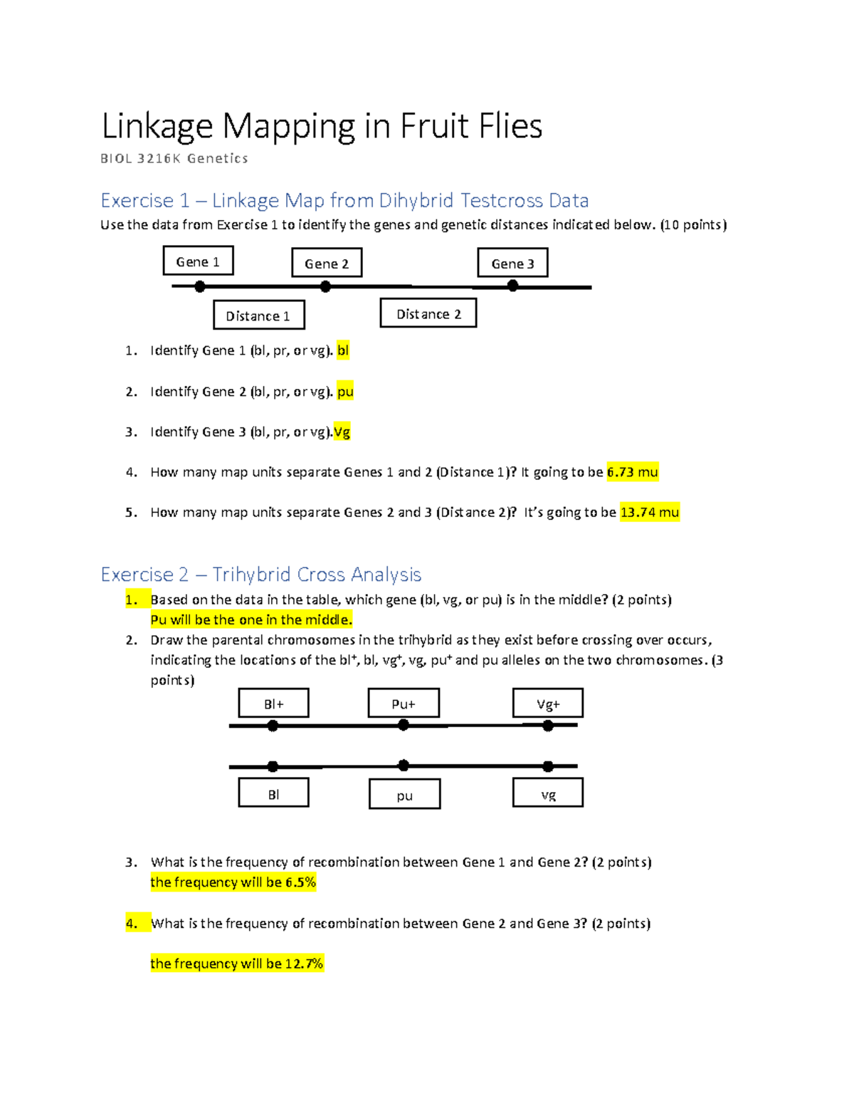 Gene Linkage Worksheet