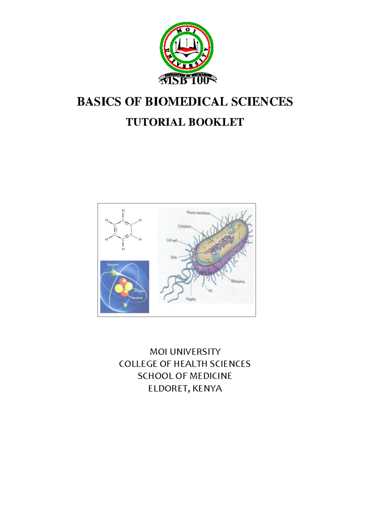 MSB BIOMEDICAL visual data 7