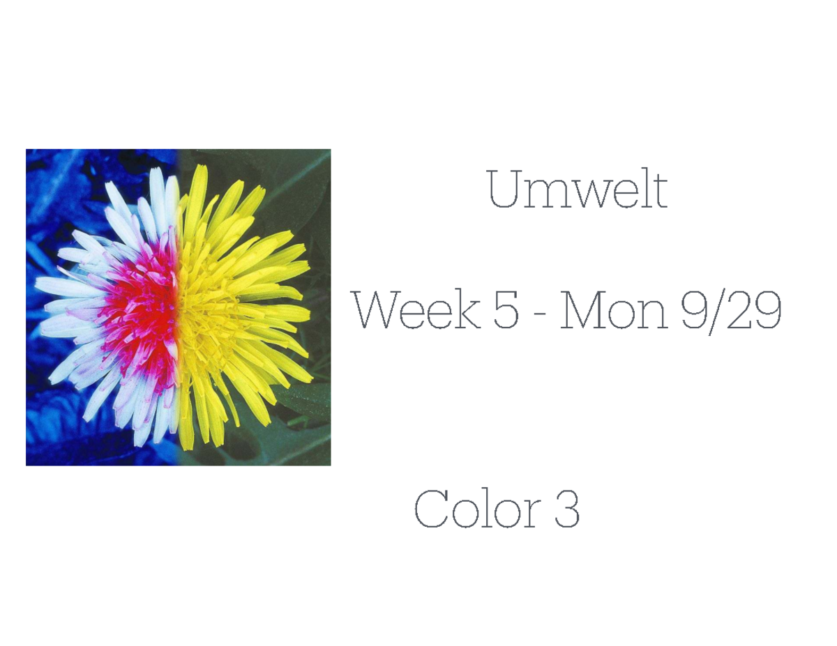 Understanding Color: Concepts & Discussions (Umwelt Week 5 - Mon) - Studocu
