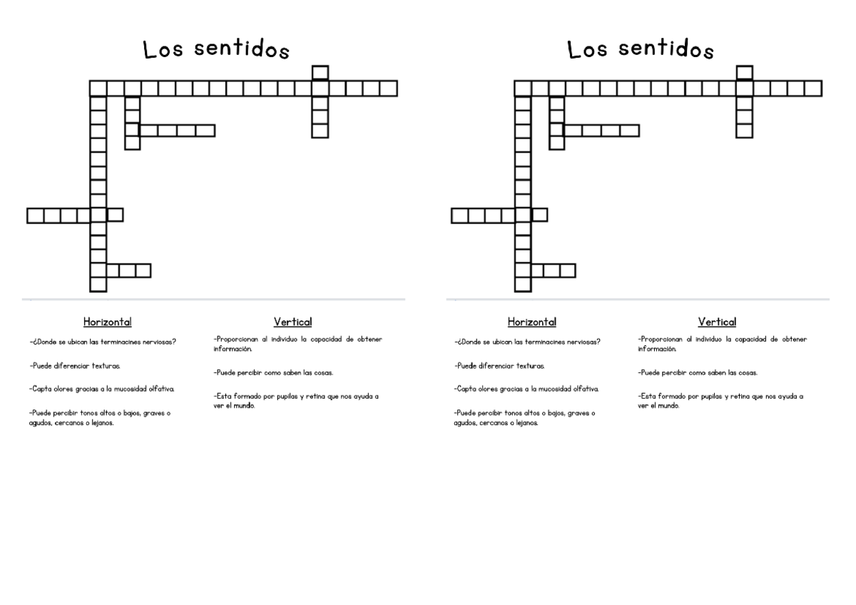 Crucigrama - Los sentidos Los sentidos Horizontal Vertical Horizontal ...