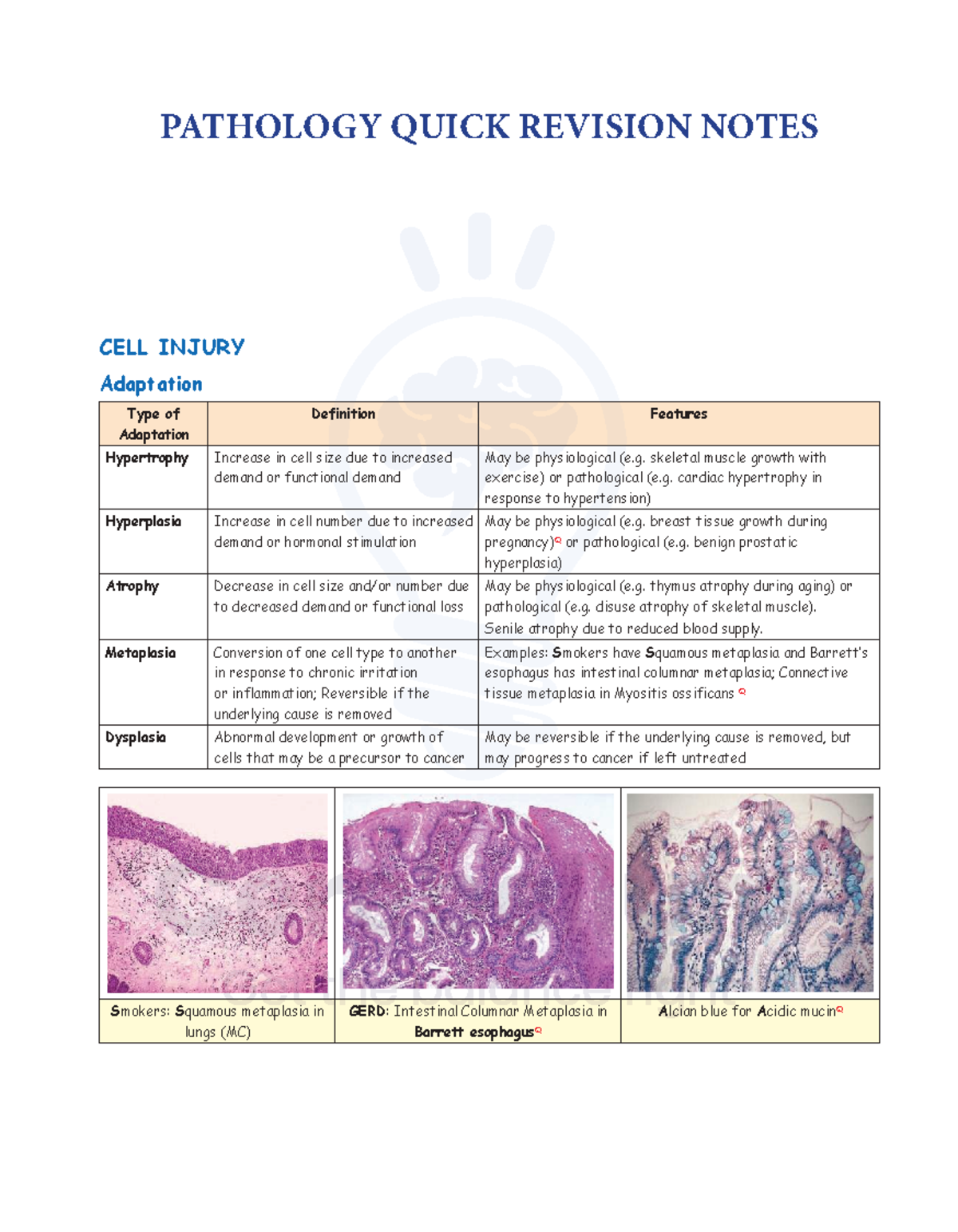 PATHOLOGY QUICK REVISION NOTES - USMLE - Studocu