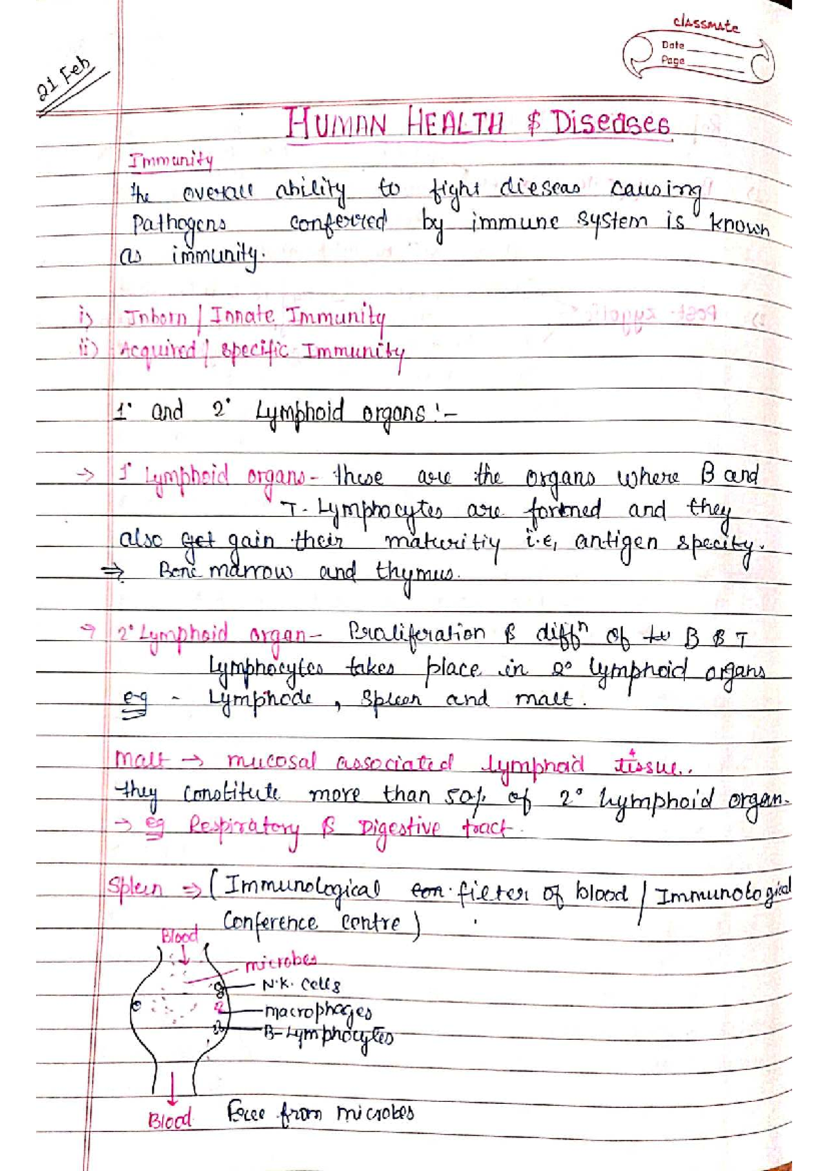 Human health: Understanding immunity and disease defense mechanisms ...