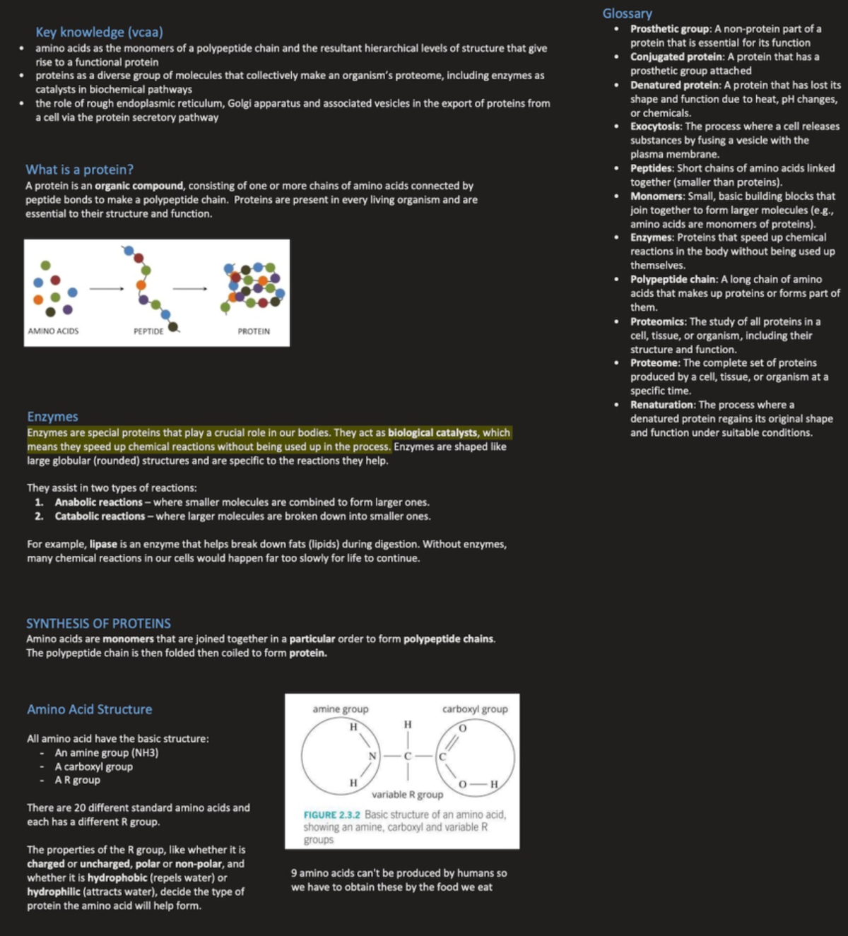 Biol 101: Comprehensive Overview of Protein Structure and Function ...