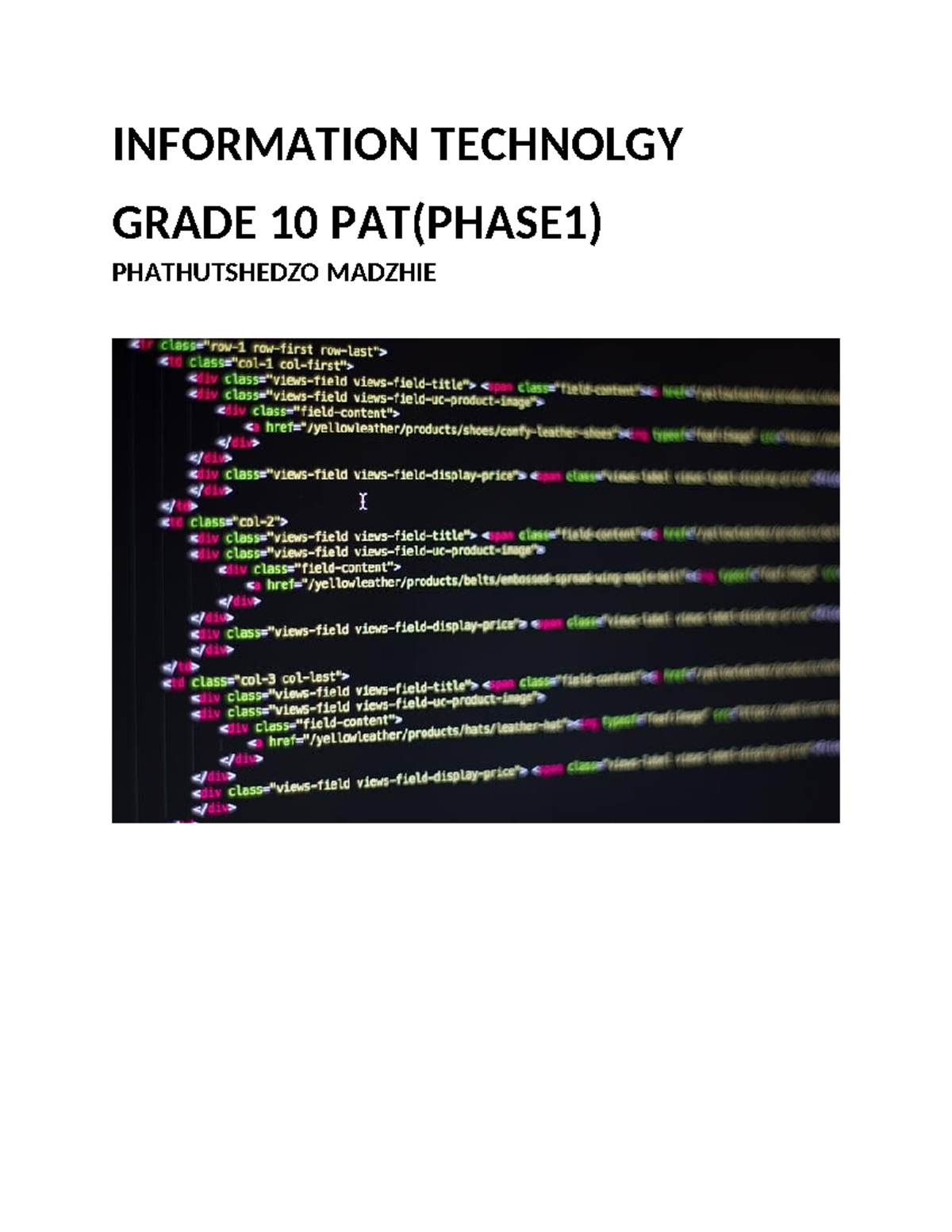 IT grade 10 practical exampkle - INFORMATION TECHNOLGY GRADE 10 PAT ...