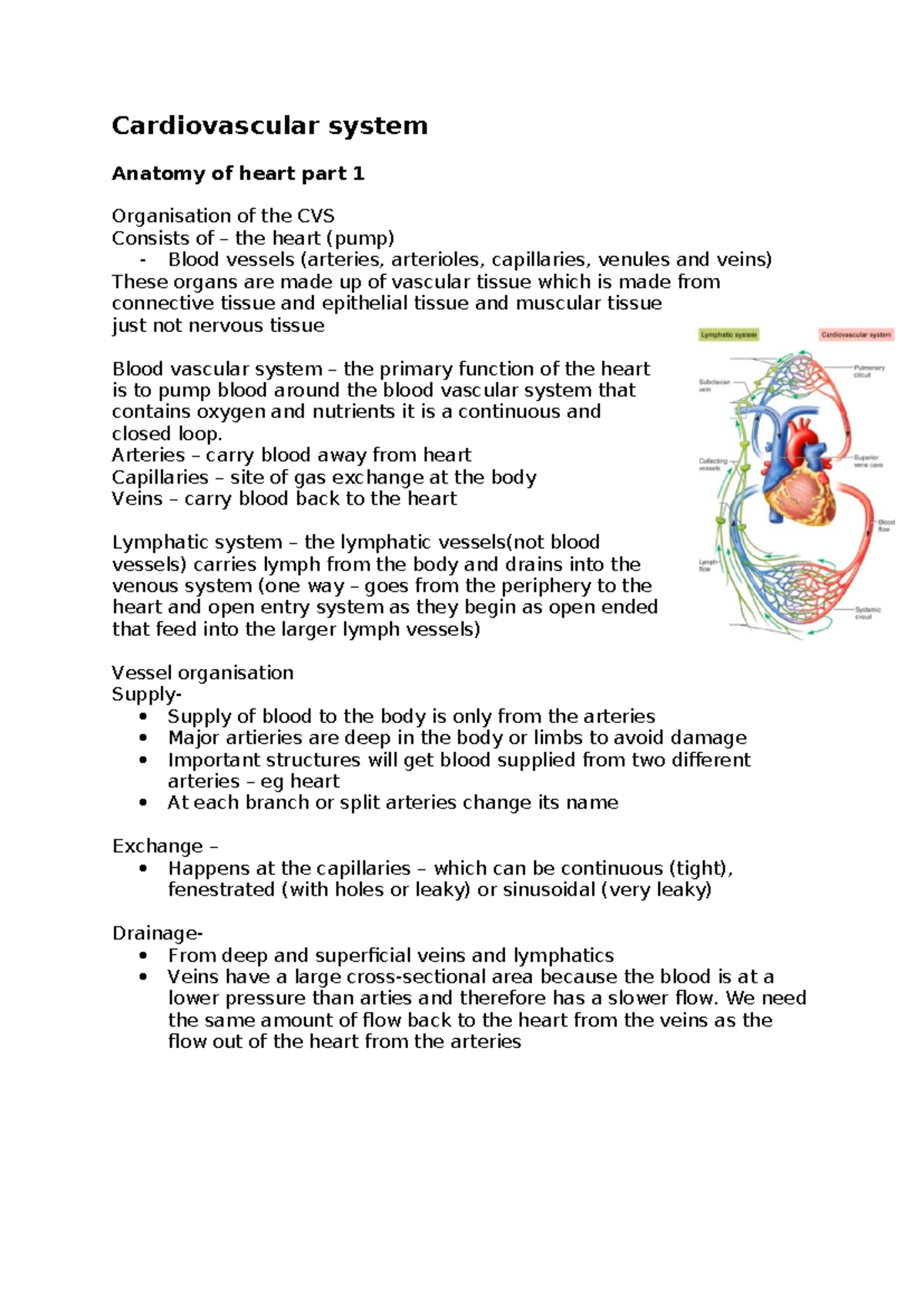 Cardiovascular System Anatomy: Heart Structure & Function (BIO 101 ...