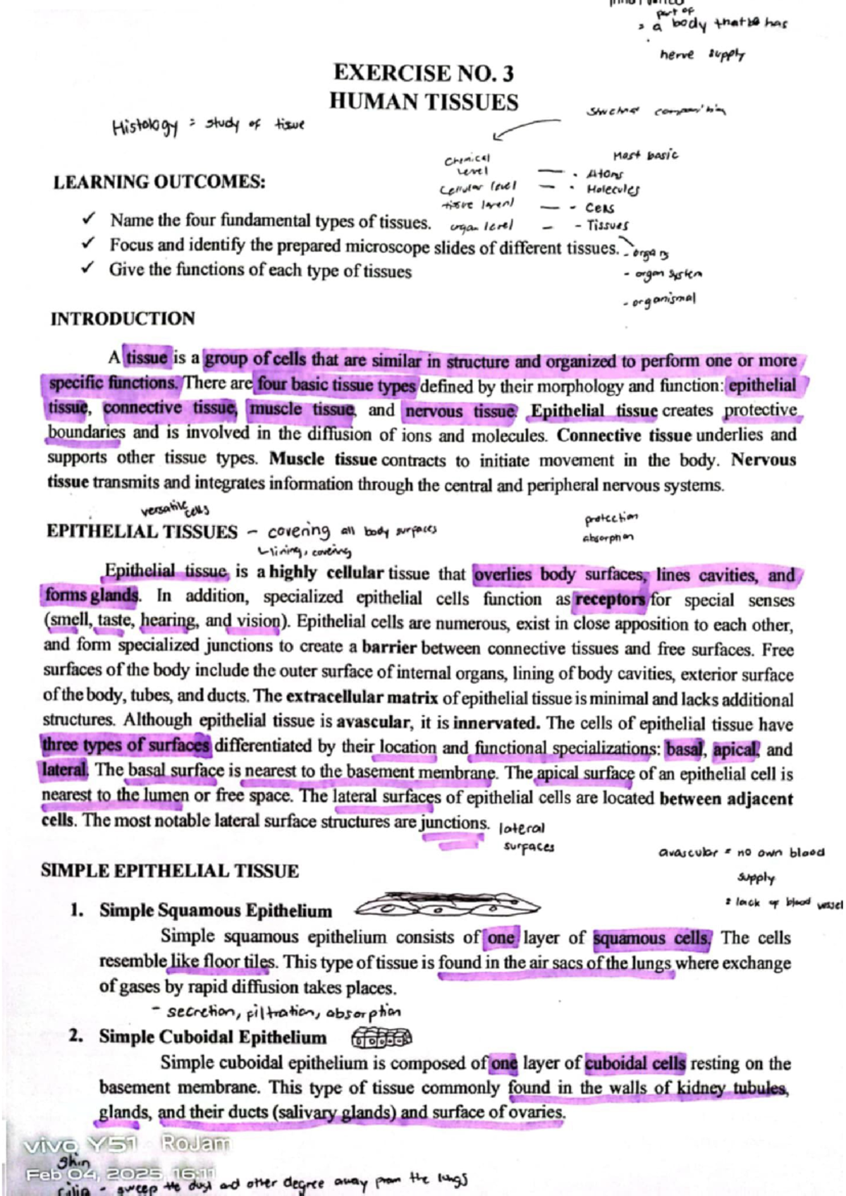 HUMAN TISSUES: Structure, Composition, and Functions - EXERCISE NO. 3 ...