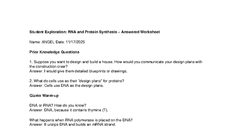RNA & Protein Synthesis Worksheet (Exploration) - Studocu