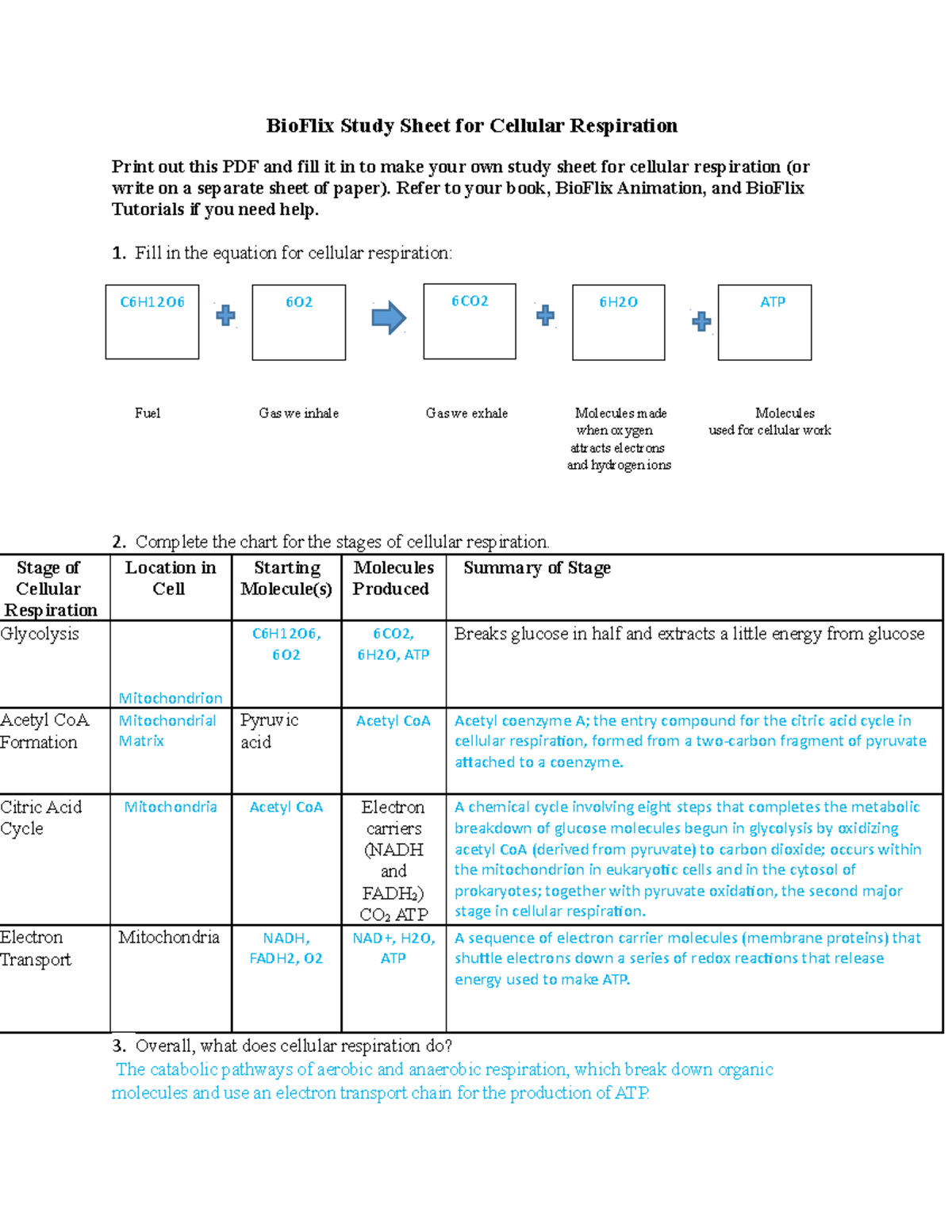 Ch 7 Worksheets - BioFlix Study Sheet for Cellular Respiration Print ...