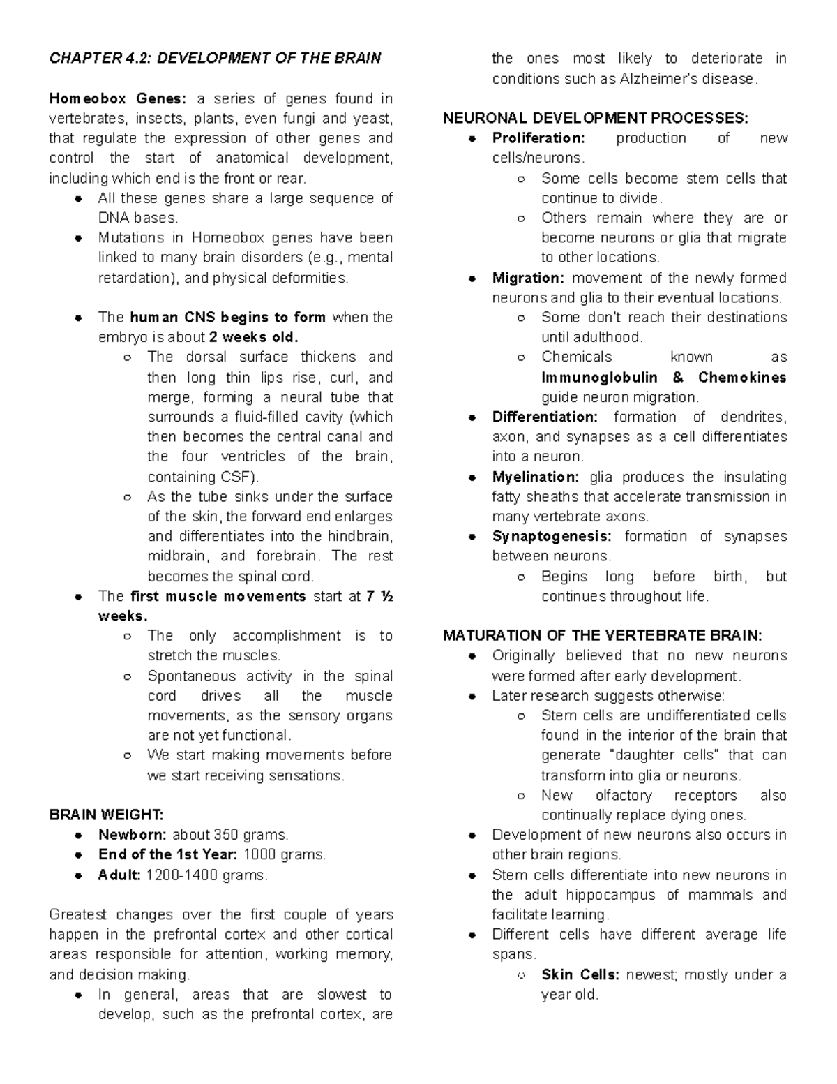 Bio Psych - Midterm Reviewer: Chapter 4.2 Brain Development Insights ...