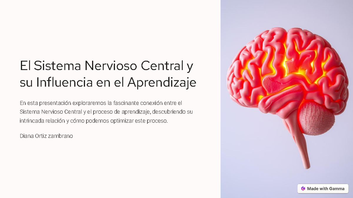 Manual de Seguridad del Paciente: Guía para Usuarios y Profesionales -  Studocu