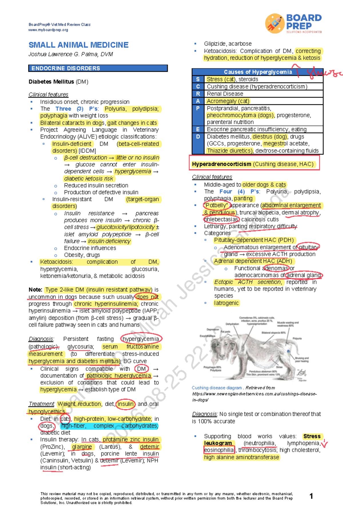 Vet Med Review: Endocrine Disorders & Diabetes Mellitus - Studocu