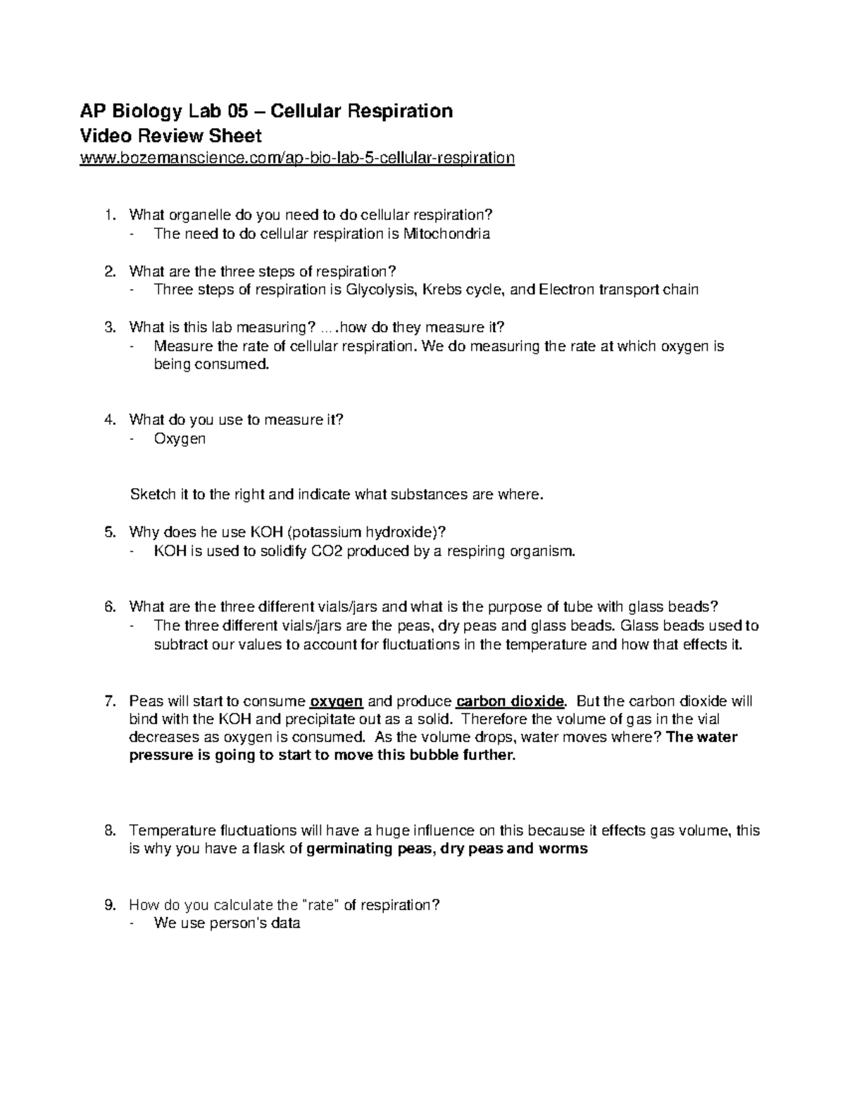 Cellular Respiration - PLEASE USE - AP Biology Lab 05 – Cellular ...