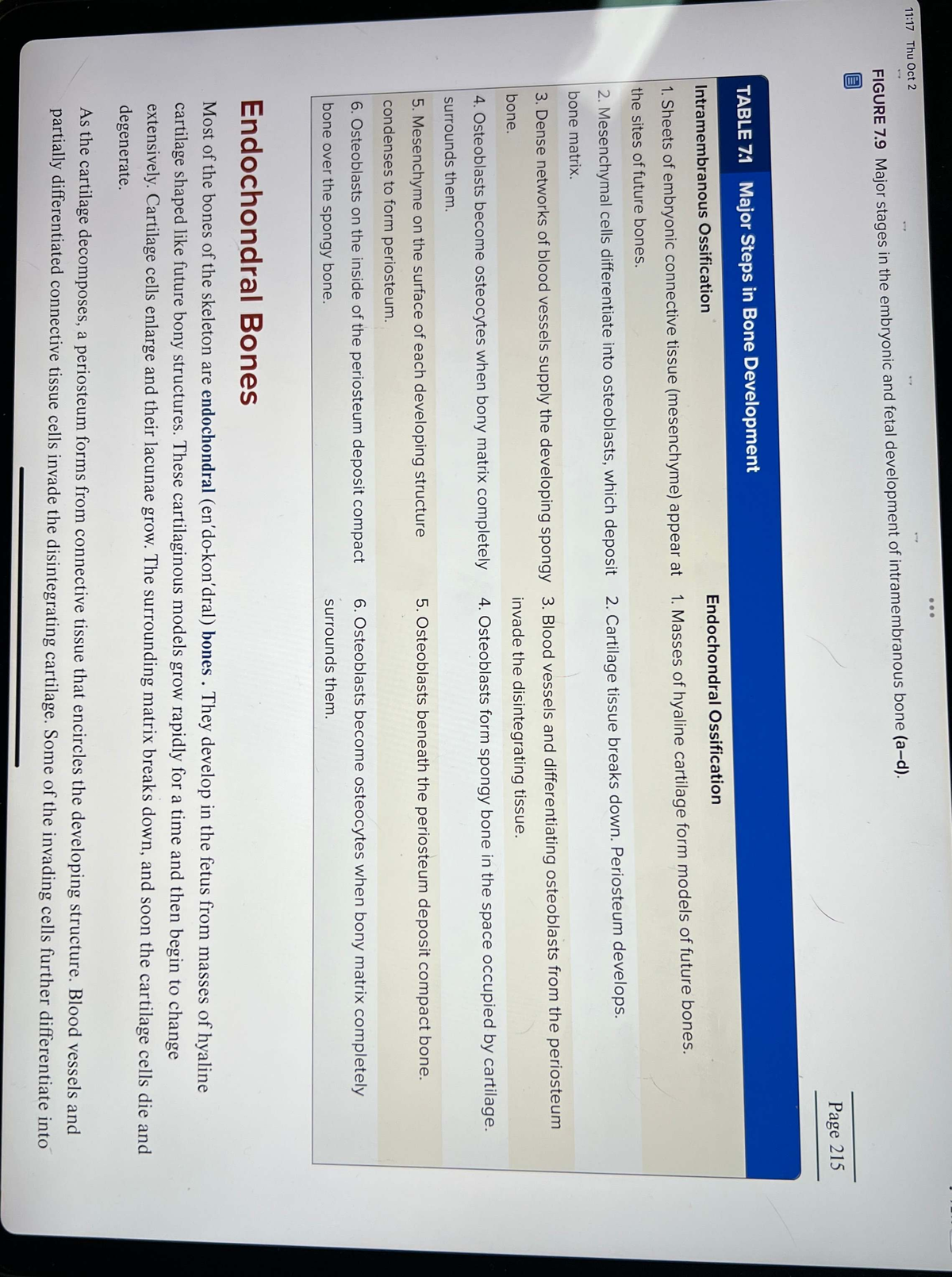 Embryonic & Fetal Bone Development: Intramembranous & Endochondral ...