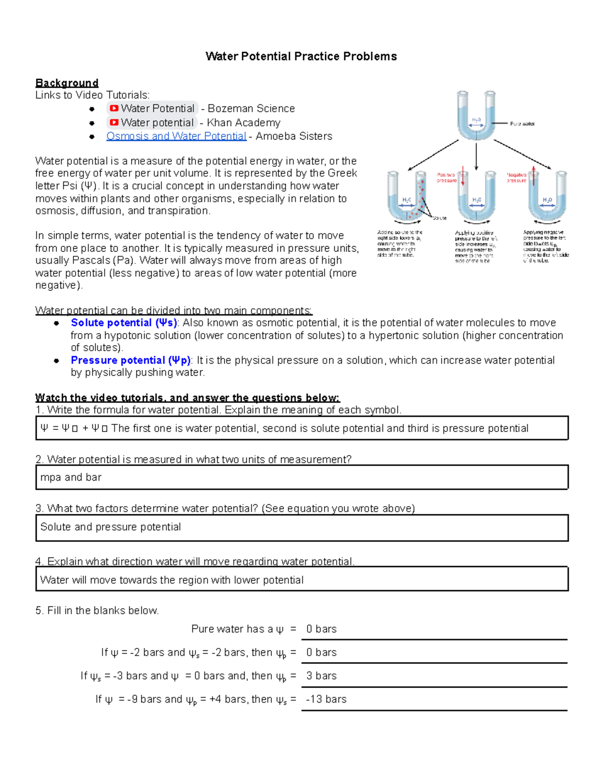 Water Potential Practice Problems: Understanding Ψ in Plants - Studocu