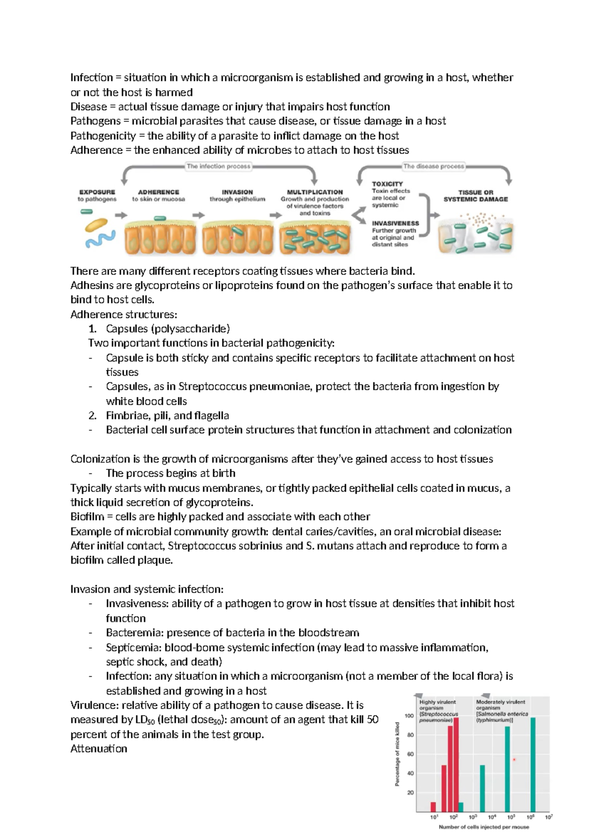 Microbial Pathogenesis: Understanding Infection, Virulence & Pathogens ...