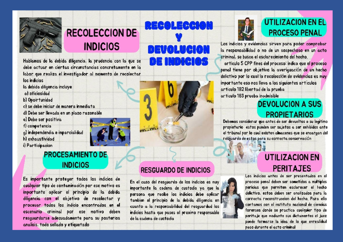 Recolección y Utilización de Indicios en Proceso Penal - CPP - Document Preview