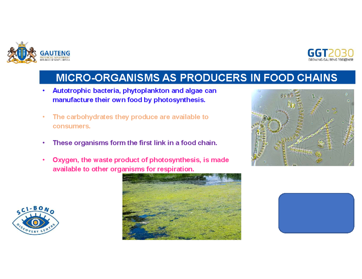 Lesson 5: Role of Microorganisms in Food Chains and Ecosystems - Studocu