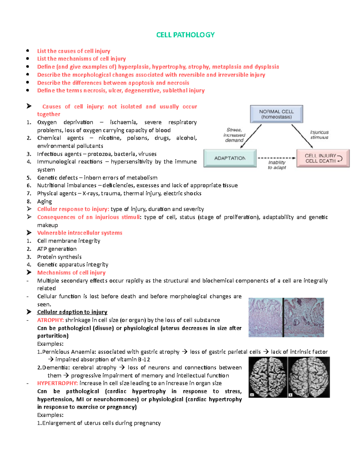 CELL Pathology - Year 1 Study Notes on Injury Mechanisms and ...