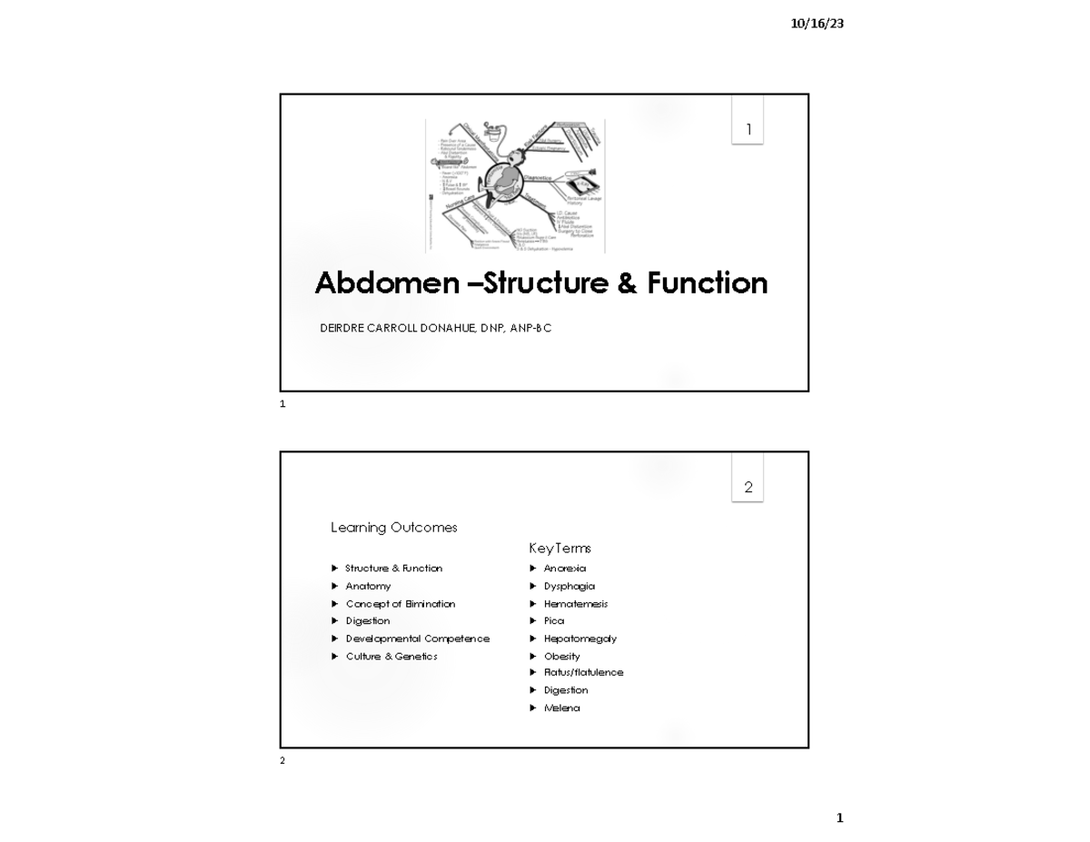 Abdominal 8 - notes - Abdomen – Structure & Function DEIRDRE CARROLL ...