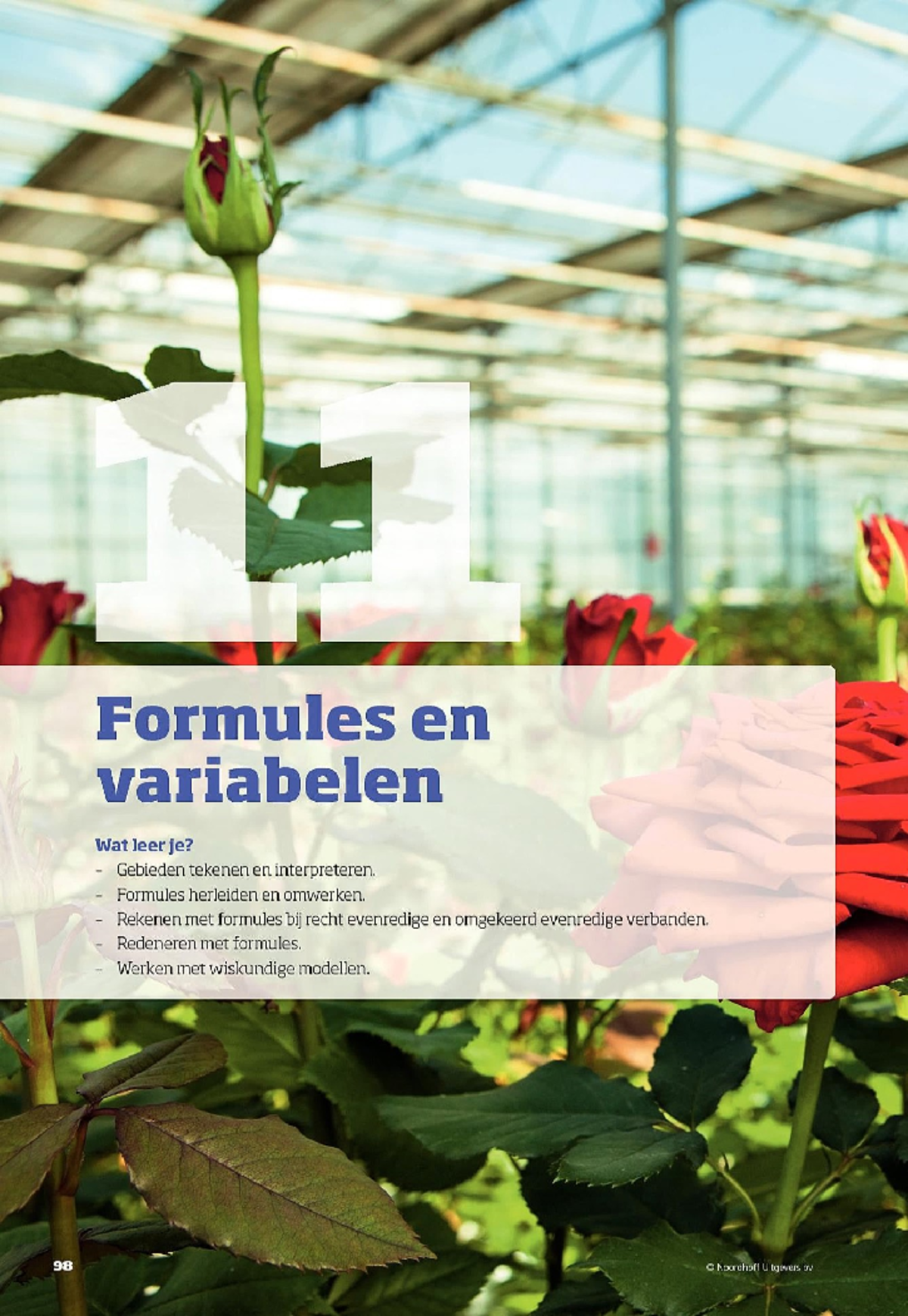 H11 - Formules en Variabelen: Grafieken, Ongelijkheden en Voeding ...