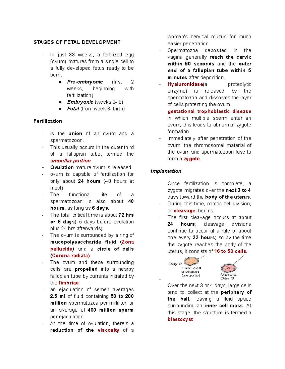 CHAP 5 - Stages of Fetal Development: A Comprehensive Overview - Studocu