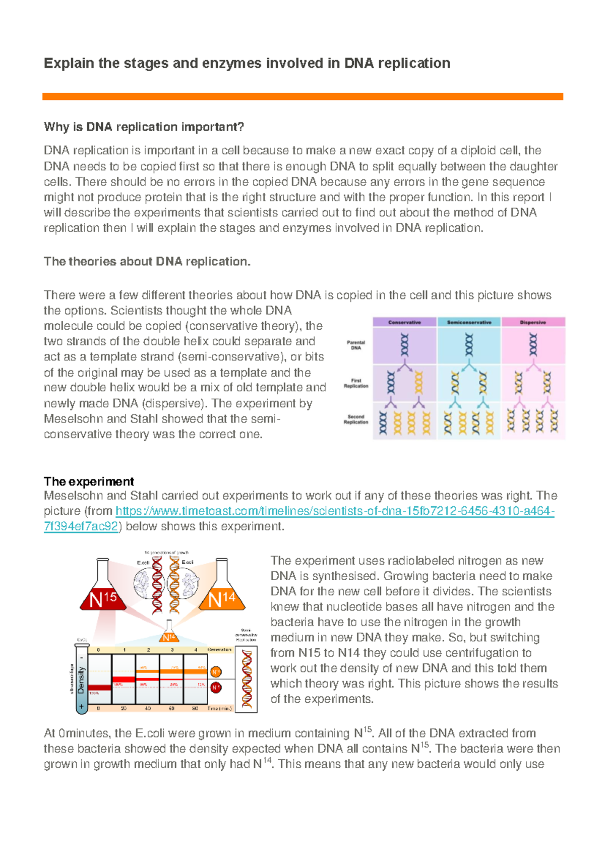 DNA Replication: Steps and Key Enzymes Explained - Studocu