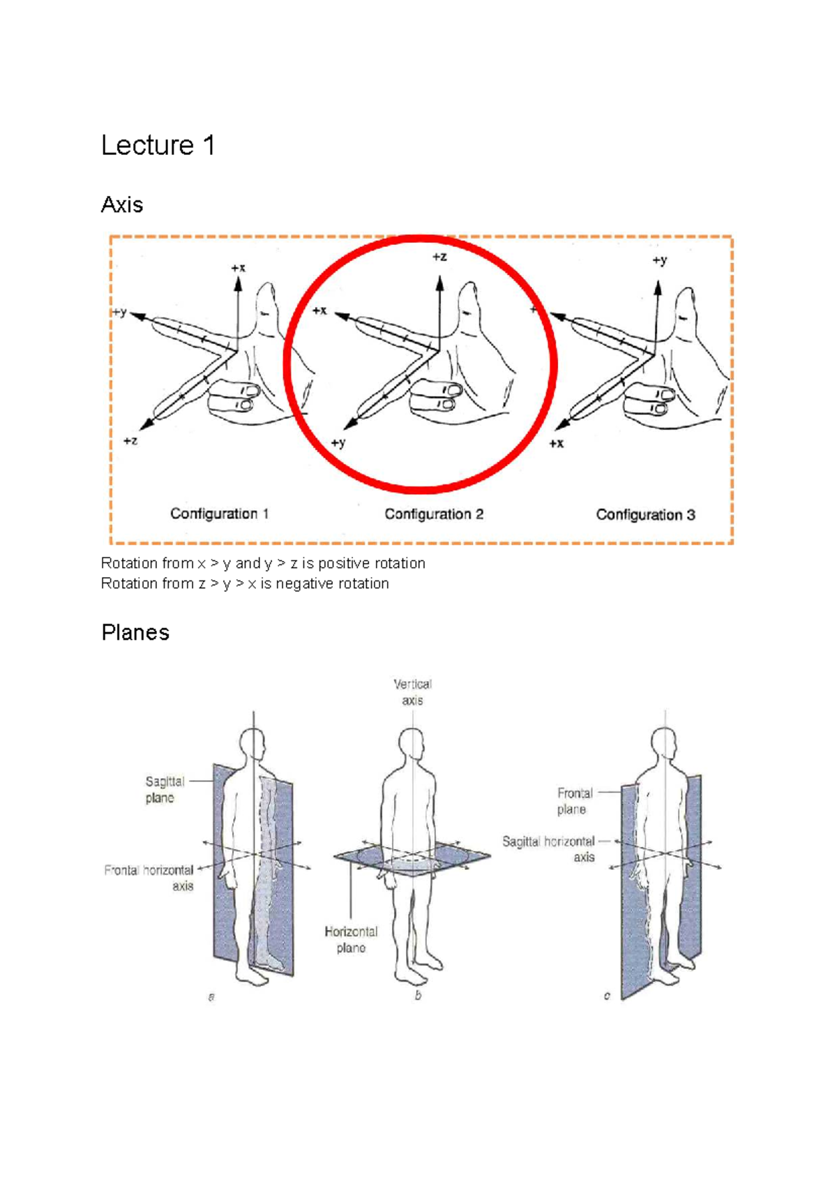 Applied Biomechanics - Lecture Notes on Axis Rotation and Joint Loading ...
